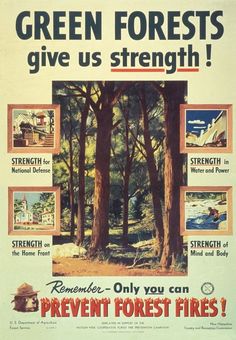 an old poster advertising forest fires