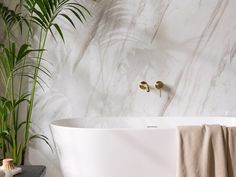 a white bath tub sitting next to a green plant in a bathroom with marble walls