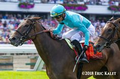 two horses with jockeys on their backs in front of a crowd