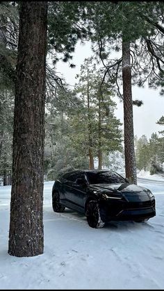 a black sports car parked in the snow between two large pine trees on a snowy day