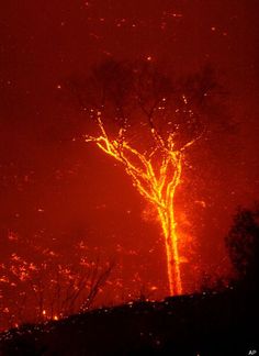 a red sky with trees in the foreground