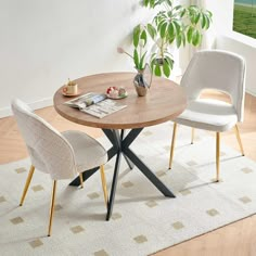 a table with two chairs and a potted plant