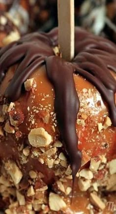 an apple covered in chocolate and nuts with a wooden stick sticking out of the top