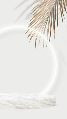 a palm tree branch in front of a white background with an oval frame for the text