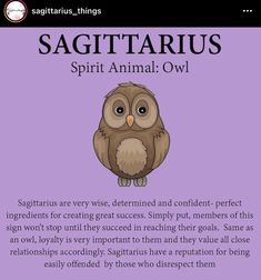 an owl sitting on top of a purple background with the words sagittatrus spirit animal