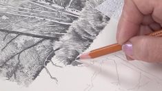 a person is holding a pencil in their left hand and drawing trees on paper with colored pencils