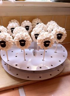 there are some cake pops that have been made to look like sheeps on them