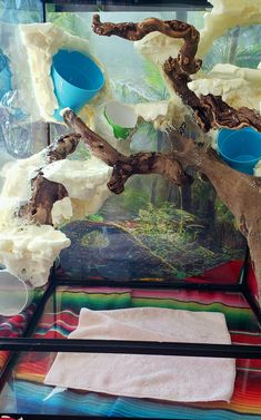 a bonsai tree is displayed in a glass case on a colorful tablecloth with other items