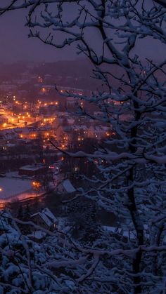 the city lights are lit up in the distance as snow covers the ground and trees