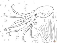 an octopus swimming in the ocean coloring page