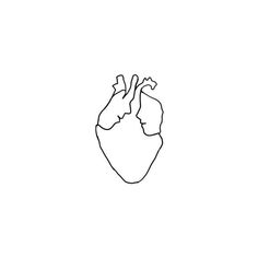 a black and white drawing of a human heart