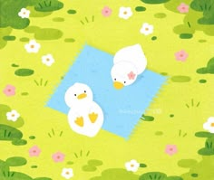 two ducks are sitting on a towel in the grass