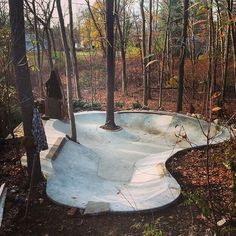 a skateboard ramp in the middle of a wooded area