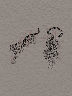 two drawings of tigers are shown on the wall