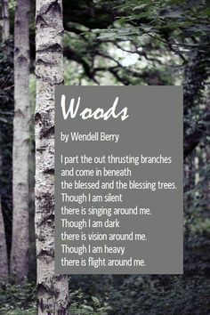 the poem woods by wendy berry is displayed on a sign in front of some trees