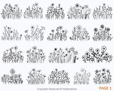 an image of flowers drawn in black and white