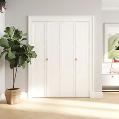 a potted plant sitting next to a white door in a room with hardwood floors