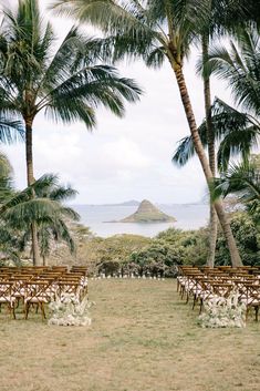 an outdoor ceremony setup with chairs and palm trees in the foreground, looking out to sea