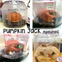 there are four pictures of pumpkin jack in the jar and an experiment inside it,