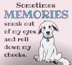 a white dog sitting on top of a floor next to a sign that says sometimes memories sneak out of my eyes and roll down my cheeks