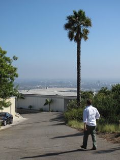 a man is walking down the street with his skateboard in hand and palm trees behind him