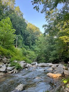 a river running through a forest filled with lots of green trees and rocks in the water