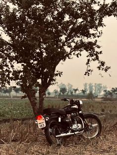 a motorcycle parked next to a tree in the middle of a grass field with a red tag on it