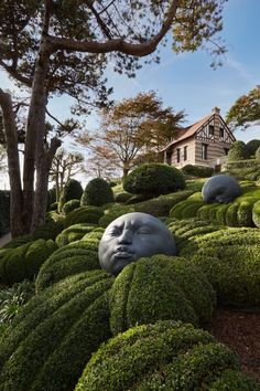 a house in the background with bushes surrounding it and a face on top of one of the hedges