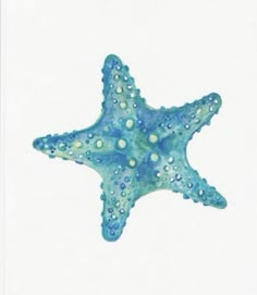 a blue starfish with white dots on it's body and back side, against a white background