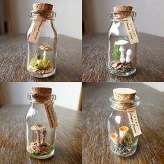 four different images of small glass jars with mushrooms in them and moss growing out of the lids