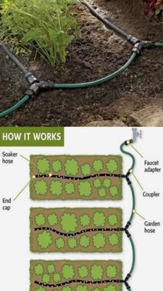 an image of garden hoses connected to the ground with plants growing in them and labeled how it works