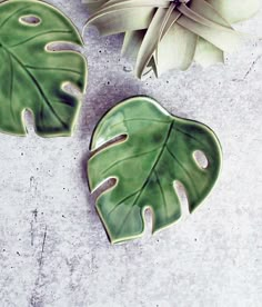 two green leaf shaped plates next to a plant