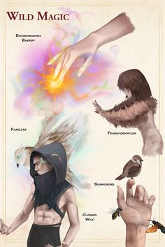 a poster with different types of birds on it's back and hands reaching out to each other