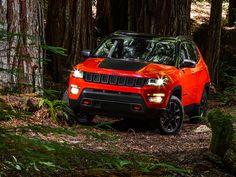 an orange jeep is parked in the woods