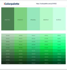 the color palette is shown in green and blue, with two different shades on each side