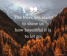 the trees are about to show us how beautiful it is to let go - rumma