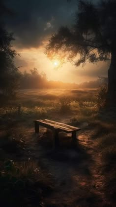 a bench sitting in the middle of a field under a tree at sunset or dawn