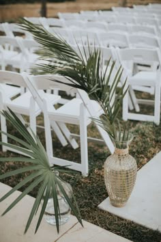 a plant in a vase sitting next to white chairs on the grass at a wedding