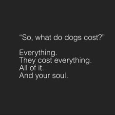 a black and white photo with the words, so, what do dogs cost?