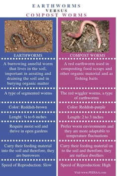 the differences between earthworms and worms