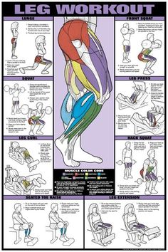 a poster with instructions on how to do an arm curl