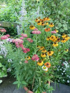 a pot filled with lots of colorful flowers next to other plants and trees in the background