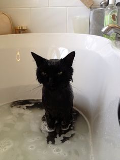 a black cat sitting in a bathtub with water all over it's face