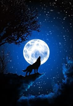 a wolf standing on top of a hill under a full moon