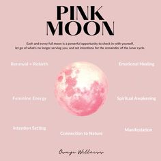 #moon #moonwisdom #moonlovers #pinkmoon #pinkaesthetictheme #fullmoonritual #mooncycle #ritual #spiritual #spirituality #spiritualawakening Moon Cycle Aesthetic, Moon Witchcraft, Pink Full Moon, Pink Widget, Wellness Studio, Full Moon Ritual