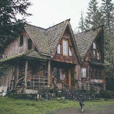 a dog that is standing in front of a house