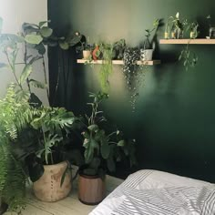 there are many plants in the corner of this room and one is on the wall