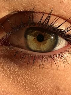 Olive Eyes, Dark Green Eyes, Easy Eye Drawing, Eyes Color, Eyes Wallpaper, Types Of Eyes