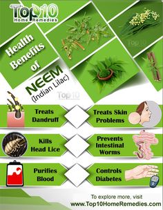 Prev post1 of 3Next Neem, also known as Azadirachta indica, margosa or Indian lilac, is a well-known herb used in Ayurveda, naturopathy, unani and homoeopathic medicines. Neem has antibacterial, antiviral, analgesic, antipyretic, antiseptic, antimicrobial, antidiabetic, antifungal, blood-purifying and spermicidal properties. More than 140 compounds are present in different parts of the herb. These properties and Neem Benefits, Benefits Of Neem, Top 10 Home Remedies, Kitchen Ingredients, Lilac Top, Dark Leafy Greens, Neem Oil, Naturopathy, Back To Nature