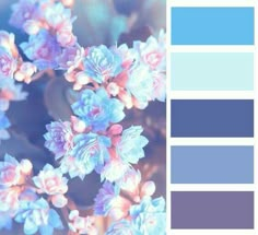 blue and pink color palette with flowers in the middle, on top of each other